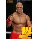 WWE Wrestling Action Figure 1/6 Hulk Hogan Hulkamania 33 cm